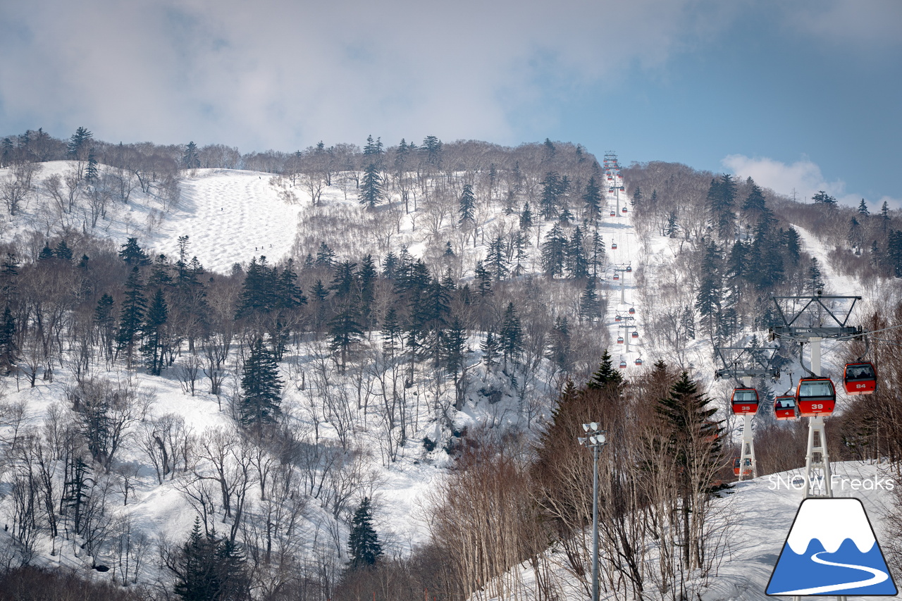 札幌国際スキー場｜さすが『KOKUSAI』！春シーズンも安泰の豊富な積雪で、まだまだ余裕で全面滑走可能です(^^)v